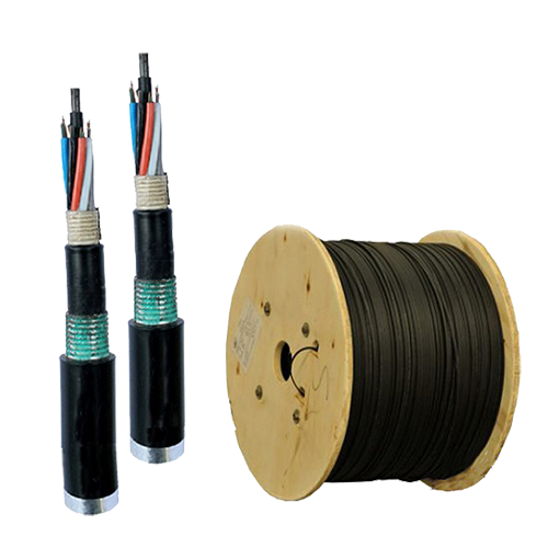 Cáp quang LS đơn mốt 12FO LT-DJBGSEX/BRN SE12XX(06T2.00)