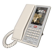 Điện thoại AEI VM-2200-SLTG-S