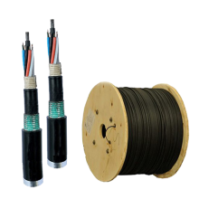 Cáp quang LS đơn mốt 12FO LT-DJBGSEX/BRN SE12XX(06T2.00)